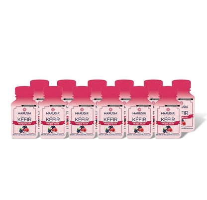 Equilibrio Diario 12 pack